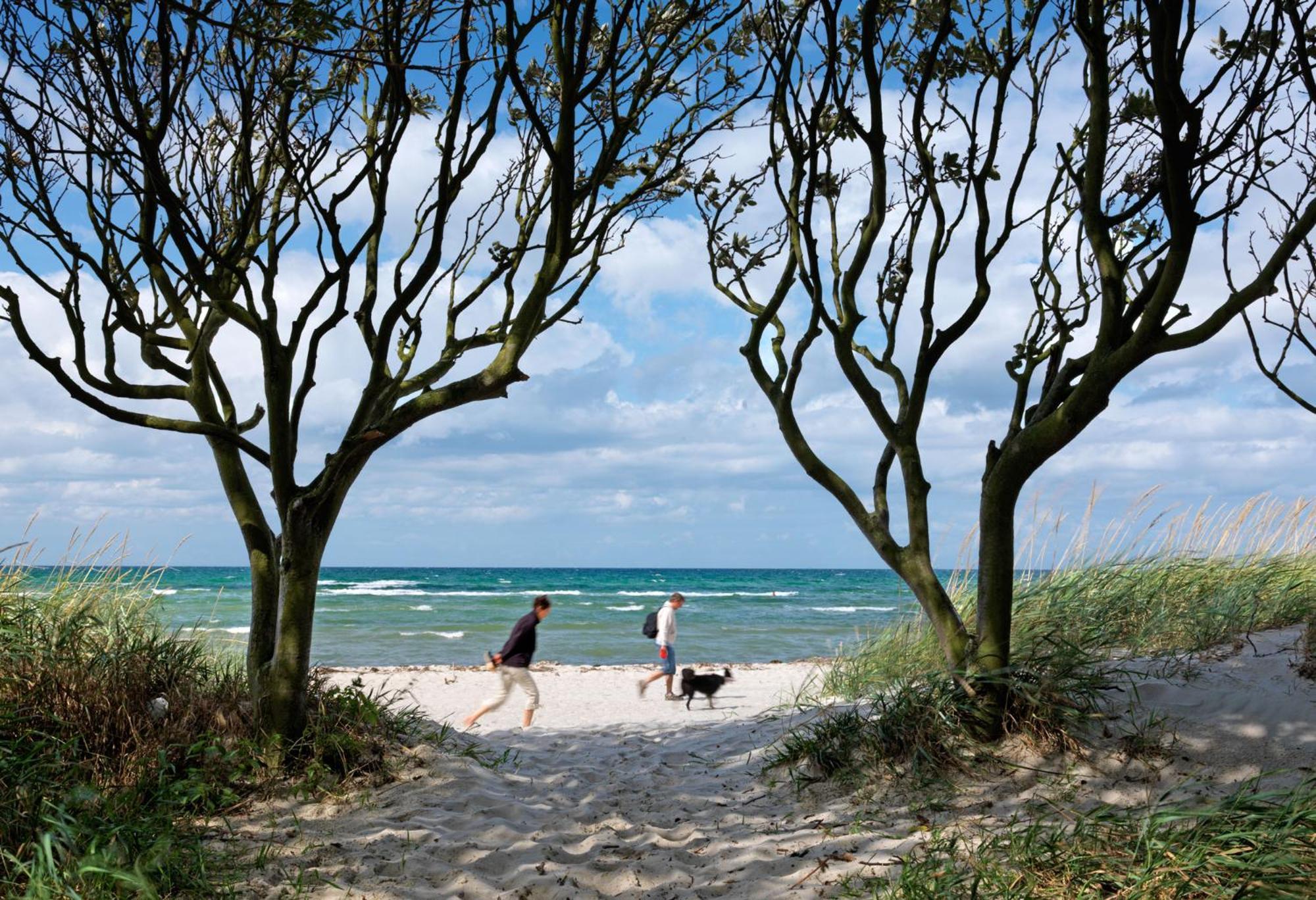 Villa Felicitas à Timmendorfer Strand Extérieur photo